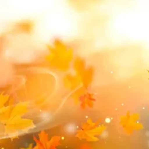 Autumn Dreams