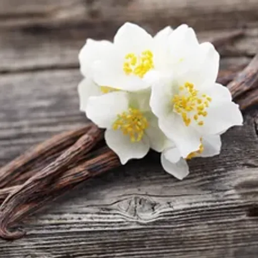 Jasmine Vanilla