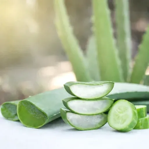 Aloe Vera and Cucumber