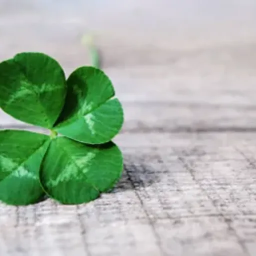 4 Leaf Clover