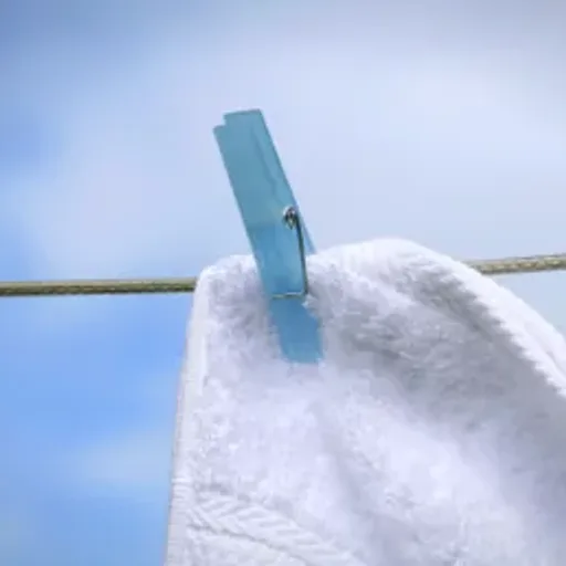 Fresh Laundry
