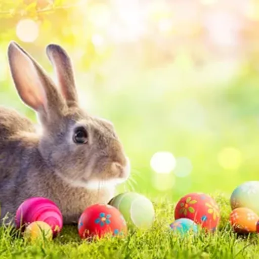 Happy Easter