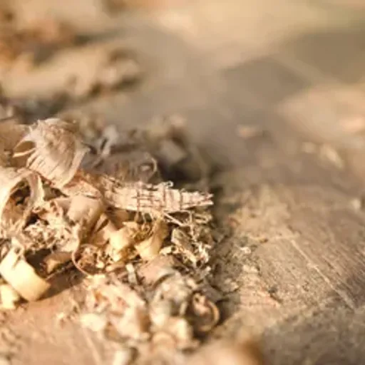 Sawdust