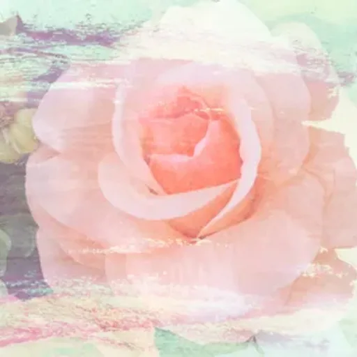 Rose Jammin'