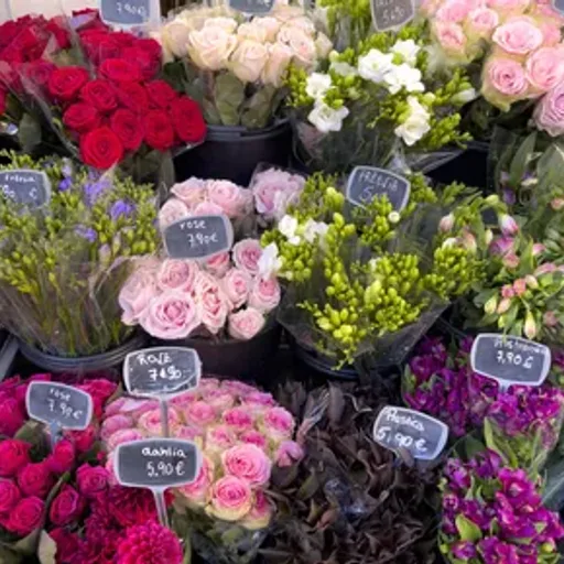 French Market Flowers