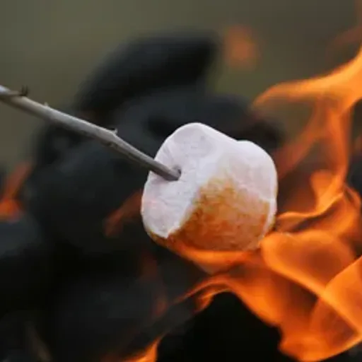 Marshmallow Fireside Type