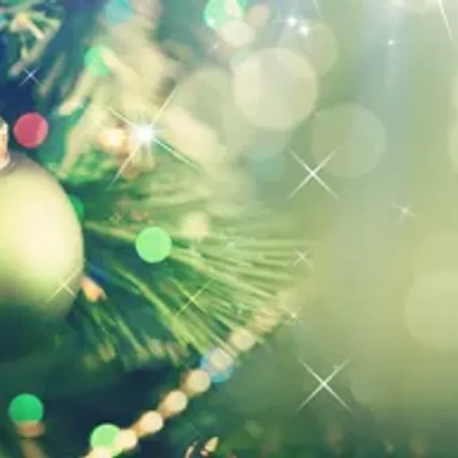Holiday Twinkle