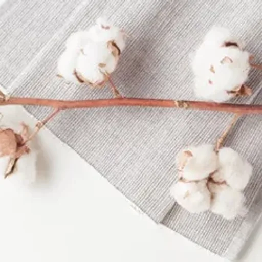 Vanilla Cotton