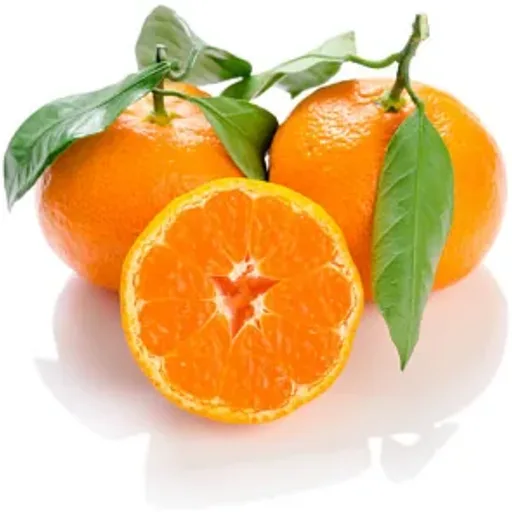 Satsuma