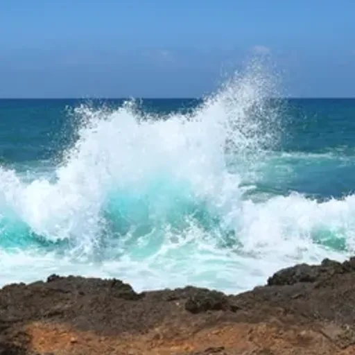 Sea Spray