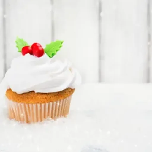 Christmas Cupcake