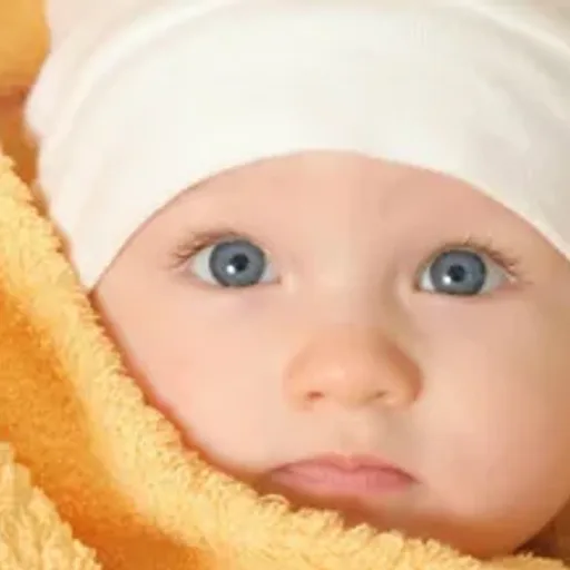 Baby Bee Buttermilk