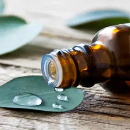 Eucalyptus and Spearmint