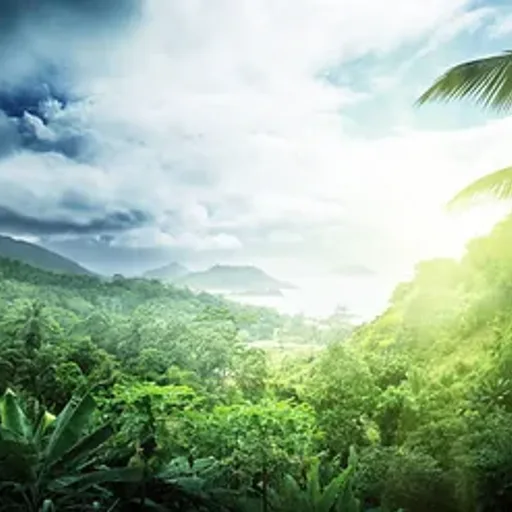 It's A Jungle Out There