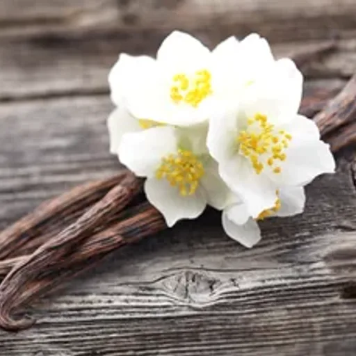 Warm Vanilla Oak