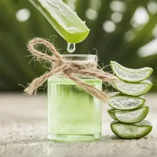 Green Clover and Aloe