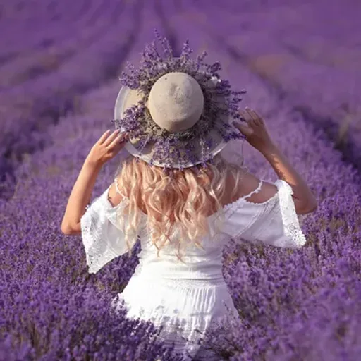 Lavender