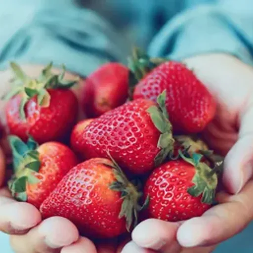 Strawberry Sensation